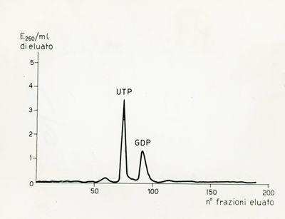 Senza titolo