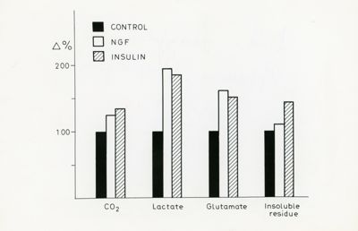 Grafico sui livelli di insulina ed NGF nell'anidride carbonica, nell'acido lattico, nell'acido glutammico e nel residuo insolubile