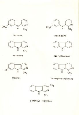 Formule chimiche