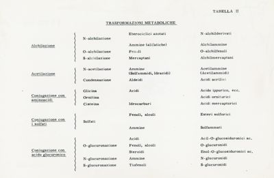 Tabella II - Trasformazioni metaboliche