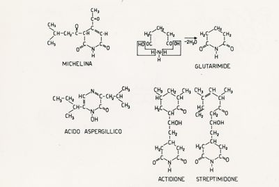 Formule di struttura  di Michelina, Glutarimide, Acido Aspergillico, Actidione  e Streptimidone