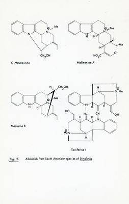 Fig. 2 - Alcaloidi delle specie sudamericane di Strychnos