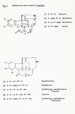 Fig. 1 - Alcaloidi delle specie asiatiche di Strychnos