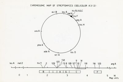 Mappa cromosomica dello Streptomyces Coelicor A 3 (2)