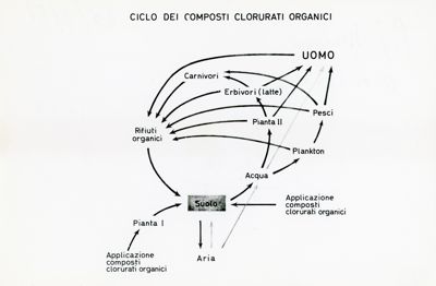 Ciclo dei composti clorurati organici