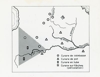 Presenza di varie tipologie di curaro in Amazzonia, tra il Rio delle Amazzoni, il Rio Negro, il Rio Solimoes e il Rio Branco