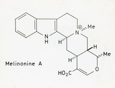 Formula di struttura della Melinonine A