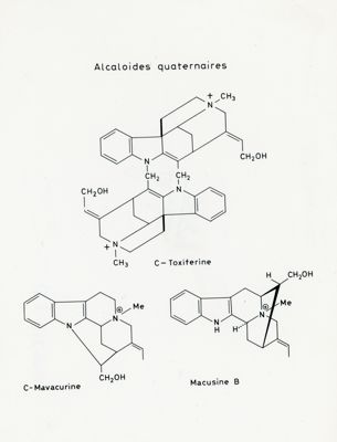 Formule di struttura degli Alcaloidi quaternari C-Toxiferine, C-Mavacurine e Macusine B