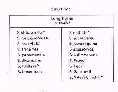 35 specie di Longiflora