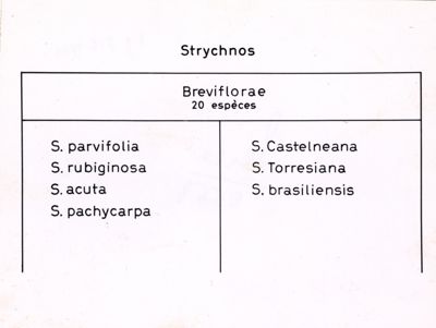 Tabella che elenca alcune specie di Strychnos (Breviflorae)