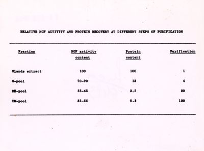 Tabella riguardante l'attività relativa di NGF e il recupero proteico in diverse fasi di purificazione