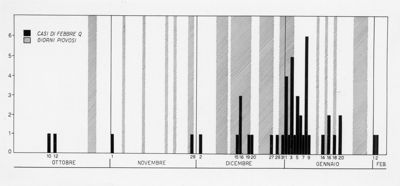 Diagramma riguardante i casi di febbre Q rispetto ai giorni piovosi