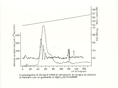 Grafico riguardante la cromatografia di 20 mg di tRNA di reticolociti di coniglio su colonna di Kelmers