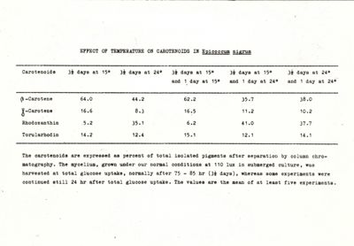 Effect of temperature on carotenoids in Epicoccum nigrum