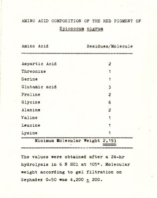 Amino acid composition of the red pigment of Epicoccum nigrum