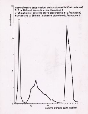 Grafico riguardante l'assorbimento delle frazioni della colonna (V=50 ml cadauna); 1-6 a 260 mn (solvente etere / tampone); 7-26 a 256 mn (solvente etere cloroformio 8:2 / tampone); successive a 268 mn (solvente cloroformio / tampone)