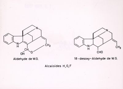 Alcaloidi H, G, F e formule di struttura di Aldehyde de W.G. e di 18-desoxy-Aldehyde de W.G.