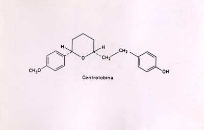 Formula di struttura  della Centrolobina