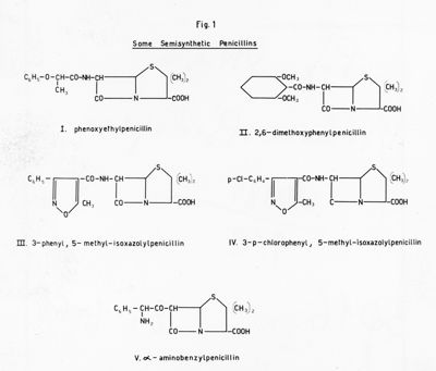 Fig. 1 - Some Semisynthetic Penicillins