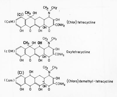 Formule di struttura di (Chlor) tetracycline, Oxytetracycline e (Chloro) demethyl-tetracycline