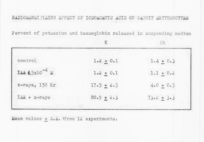 Radiosensitizing effect of iodoacetic acid on rabbit erythrocytes