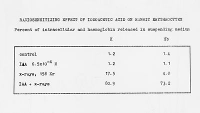 Radiosensiziting effect of iodoacetic acid on rabbit erythrocytes