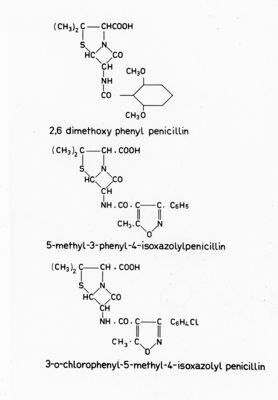 Formule di struttura di 2,6 dimethoxy phenyl penicillin, 5-methyl-3-phenyl-4-isoxazolyl penicillin e 3-o-chlorophenyl-5methyl-4-isoxazolyl penicillin