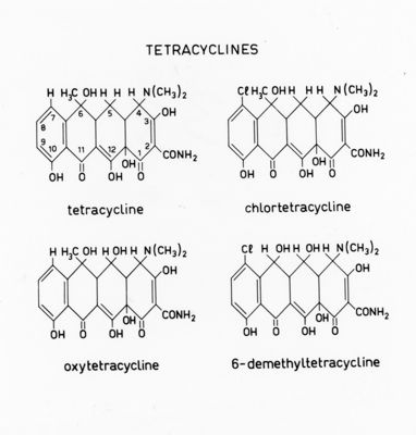 Formule di struttura di tetracycline, chlorotetracycline, oxytetracycline e 6-demethyltetracycline