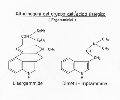 Allucinogeni del gruppo dell'acido lisergico (Ergotaminici) - Formule di struttura di Lisergammide e Dimetil-Triptammina