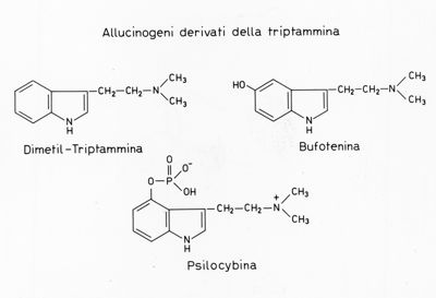 Allucinogeni derivati della Triptammina - Formule di struttura  di Dimetil-Triptammina, Bufotenina e Psilocybina