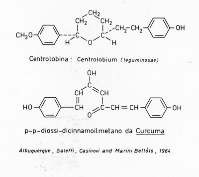 Formule di struttura della Centrolobina e del P-P-Diossi-Dicinnamoilmetano da Curcuma