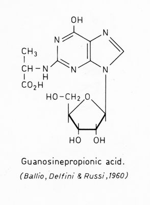 Formula di struttura del Guanosinepropionic Acid