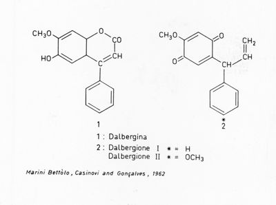 Formula di struttura della Dalbergina e del Dalbergione, I e II