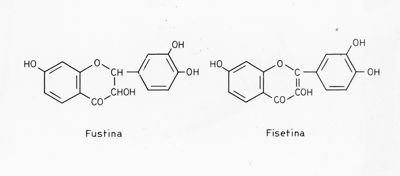 Formule di struttura di Fustina e Fisetina