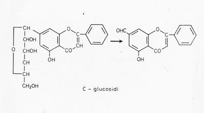 Formula di struttura dei C-glucosidi