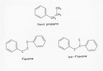 Formule di struttura del Fenil propano, del Flavone e dell'Iso-Flavone