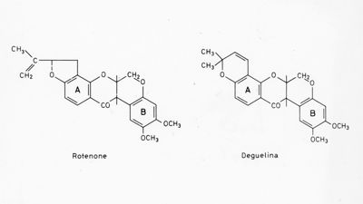 Formule di struttura del Rotenone e della Deguelina