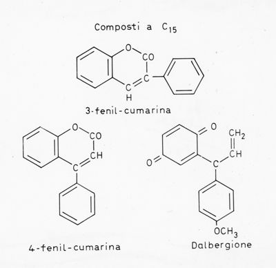 Composti a C15: Formule di struttura di 3-Fenil-cumarina, 4-Fenil-cumarina e Dalbergione