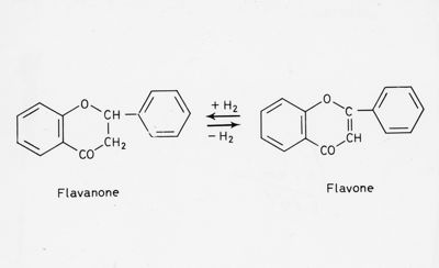 Formule di struttura del Flavanone e del Flavone