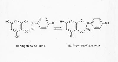 Formule di struttura di Naringenina-Calcone e Naringenina-Flavanone