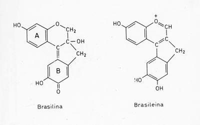 Formule di struttura della Brasilina e della Brasileina