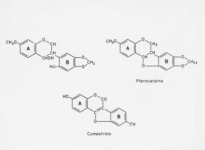 Formule di struttura della Pterocarpina e del Cumestrolo