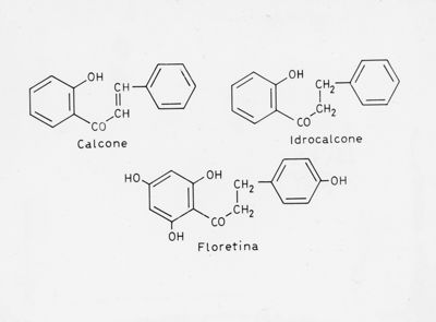 Formule di struttura di Calcone, Idrocalcone e Floretina