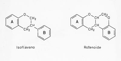 Formule di struttura dell'Isoflavano e del Rotenoide