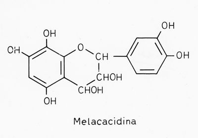 Formula di struttura della Melacacidina