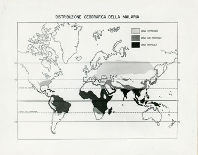Tav. 14 - Cartogramma riguardante la Distribuzione Geografica della Malaria