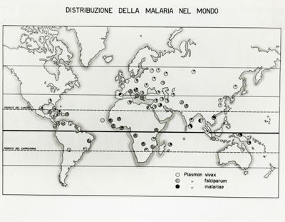 Tav. 16 - Cartogramma riguardante la distribuzione della Malaria nel Mondo
