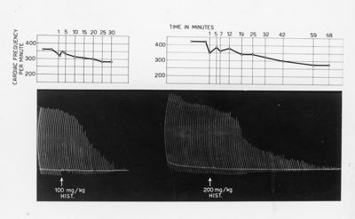 Effetto dell'Istamina nel ratto e amminoacidi eliminati da urine di ratti trattati con Florizina