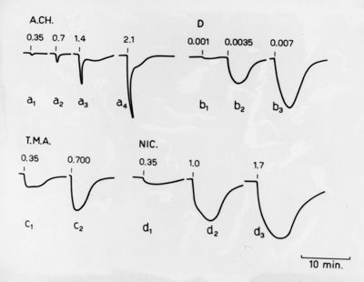 Grafico riguardante una esperienza sul preparato sciatico gastrocnemio di pollo