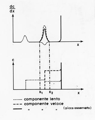 Differenti grafici riguardanti studi collegati al menisco